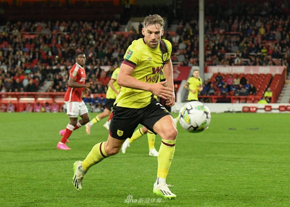 毛球带来了 毛球带来了